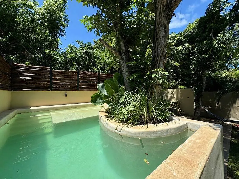Lt 39 - Private Pool, Spacious Garden, Near Xcalacocobeach Playa del Carmen